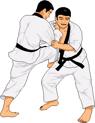 judo_2.gif