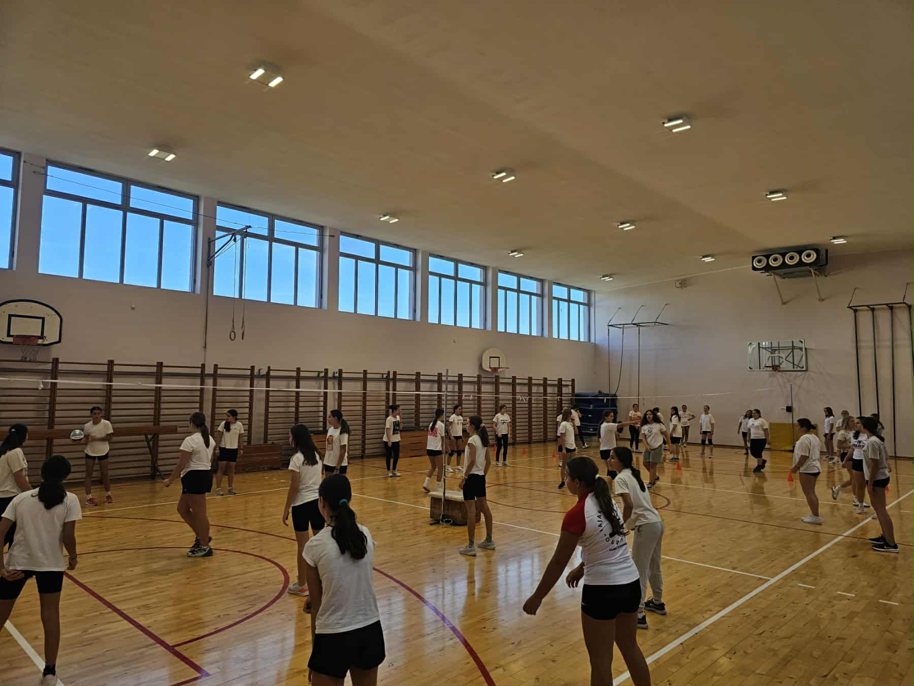 4dddf387-f6f0-480d-b778-d32ae294fe99.jpg