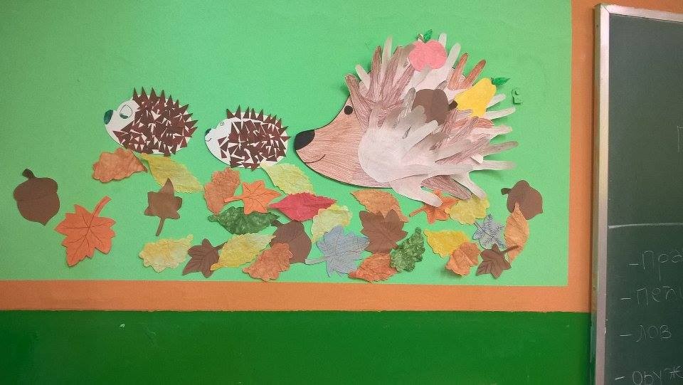 Специјално 5, 7 разред